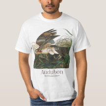 Halcón rojo de John James Audubon