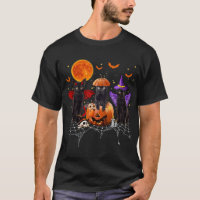 Halloween De Gato Negro, Gato Negro Sentado En Cal