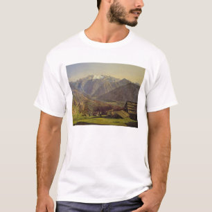 Camiseta Hallstatter-Vea (aceite en lona)