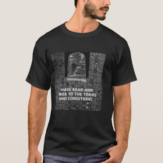 Camiseta Hammurabi, condiciones