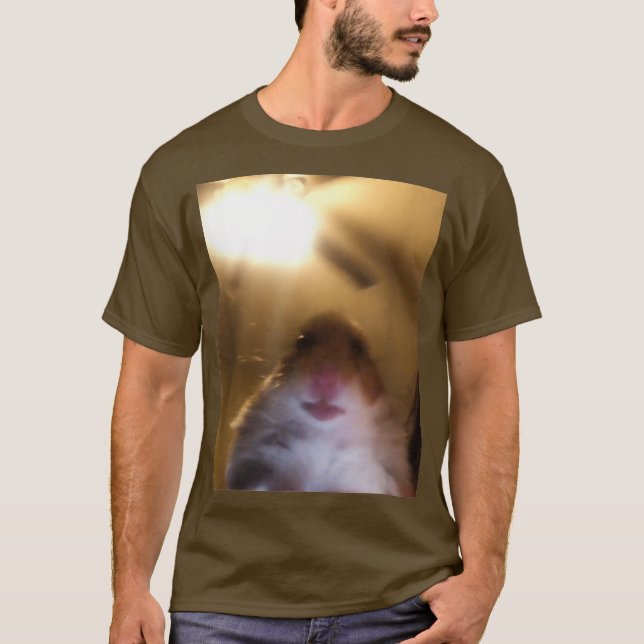 Camiseta Hámster Mirando El Meme De La Cámara (Anverso)