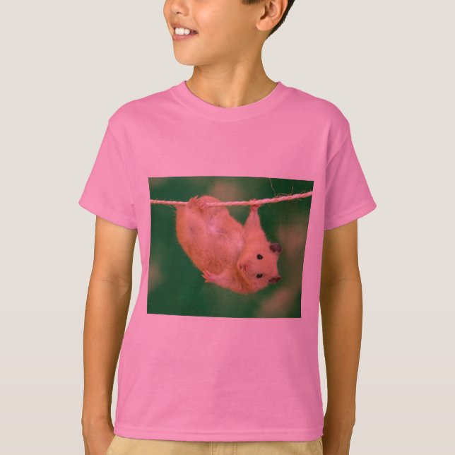 Camiseta hámster tonto (Anverso)