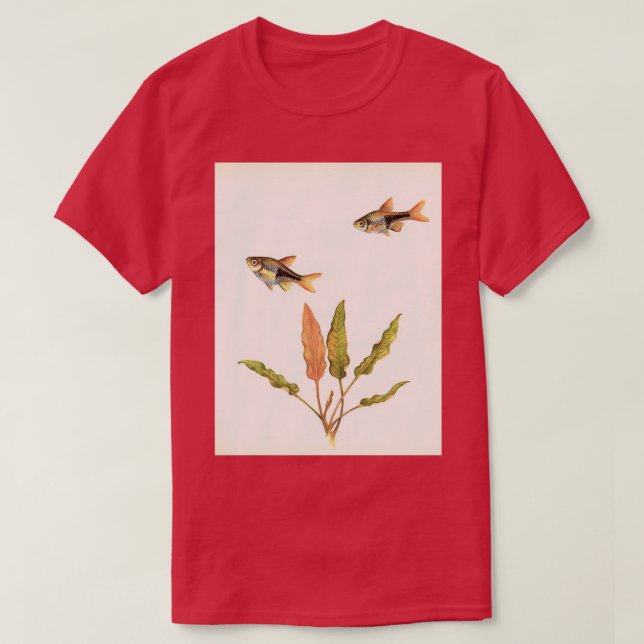 Camiseta Harlequin Barb Trigonostigma heteromorpha (Diseño del anverso)