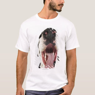 Camiseta Harlequin great dane con la boca abierta, primer,