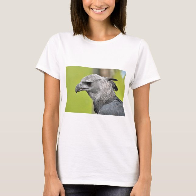 Camiseta Harpy Eagle 2.JPG (Anverso)