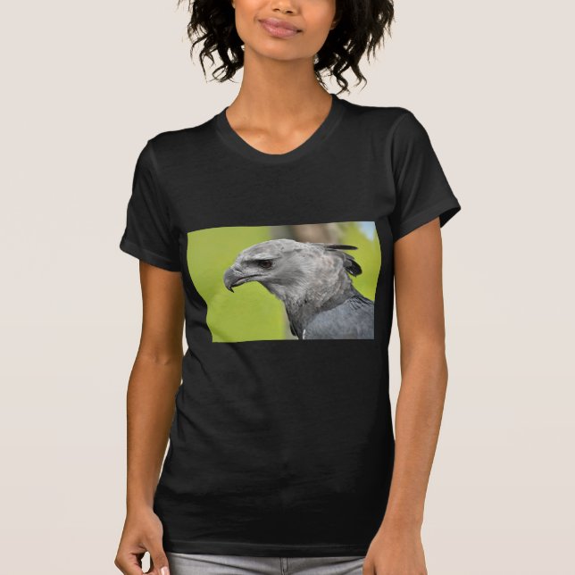 Camiseta Harpy Eagle 2.JPG (Anverso)