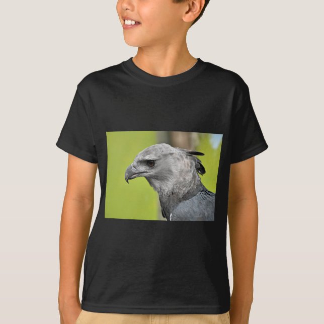 Camiseta Harpy Eagle 2.JPG (Anverso)