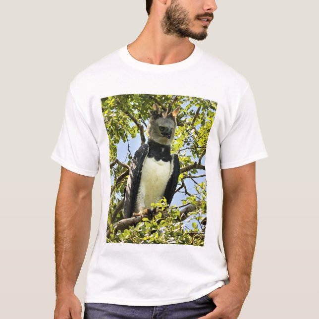 Camiseta Harpy Eagle, adulto (Anverso)