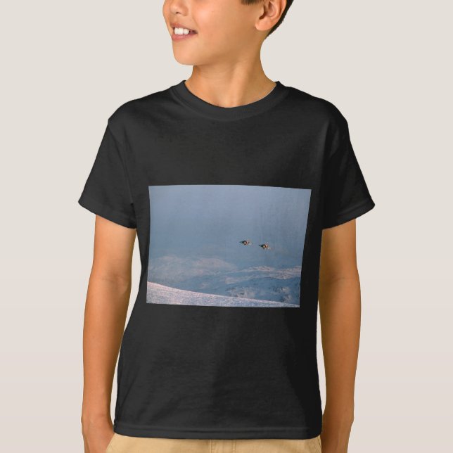 Camiseta Harrier Jump Jet (Anverso)
