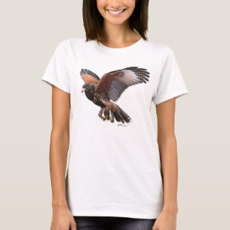 Camiseta Harris Hawk en vuelo