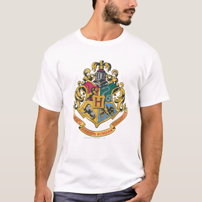 Camiseta Harry Potter| Cojín de Hogwares - Color completo (Anverso)