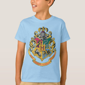 Camiseta Harry Potter| Cojín de Hogwares - Color completo