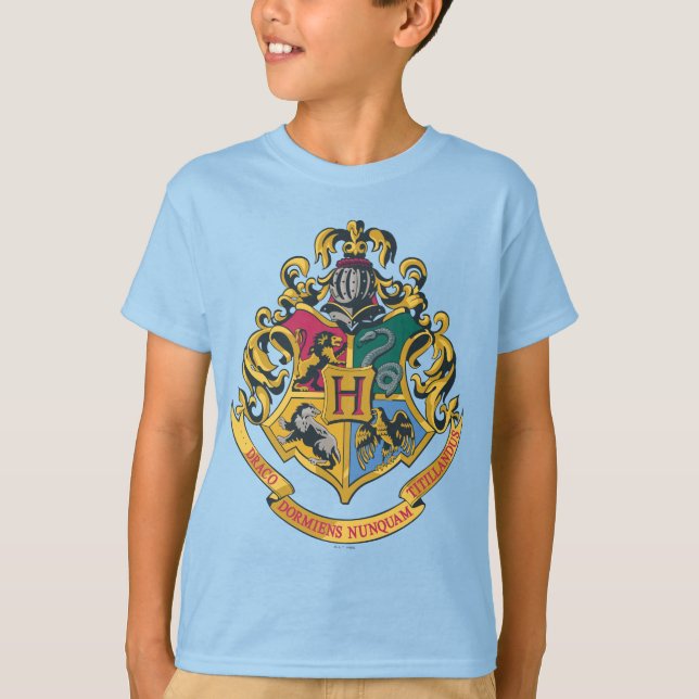 Camiseta Harry Potter| Cojín de Hogwares - Color completo (Anverso)