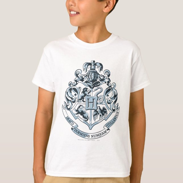 Camiseta Harry Potter| Coplín Hogwares - Azul (Anverso)