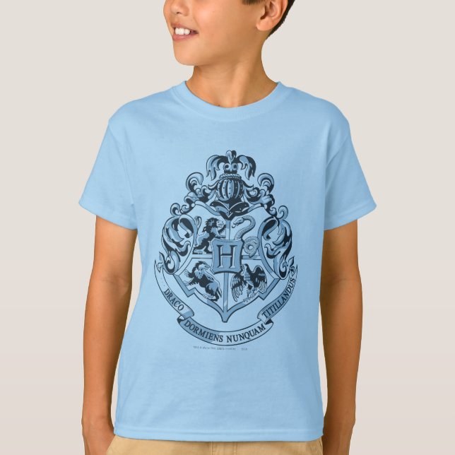 Camiseta Harry Potter| Coplín Hogwares - Azul (Anverso)