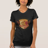 Harry Potter| Gryffindor QUIDDITCH � Capitán Emble