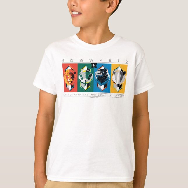 Camiseta Harry Potter | HOGWARTS™ House Sigils (Anverso)