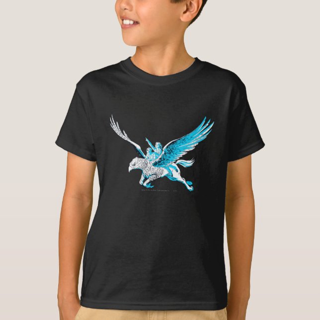 Camiseta Harry y Hermione en un Hippogriff (Anverso)