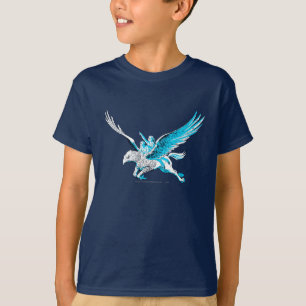 Camiseta Harry y Hermione en una Hippogriff