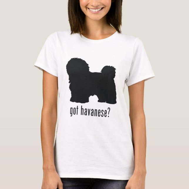Camiseta Havanese (Anverso)