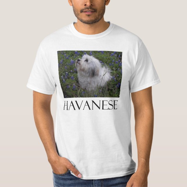 CAMISETA HAVANESE (Anverso)