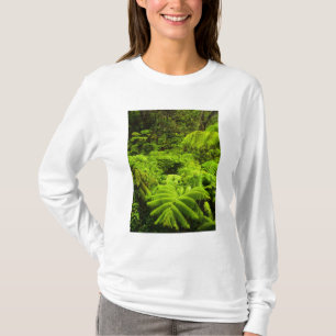 Camiseta Hawái, Isla Grande, exuberante vegetación tropic