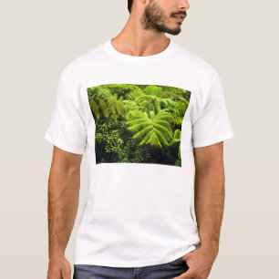 Camiseta Hawái, Isla Grande, exuberante vegetación tropic