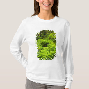 Camiseta Hawái, Isla Grande, exuberante vegetación tropic