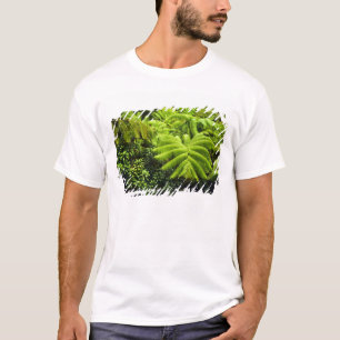 Camiseta Hawái, Isla Grande, Exuberante vegetación tropical