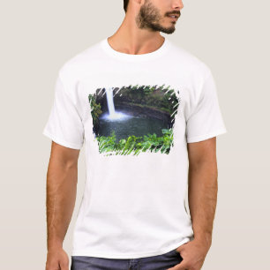 Camiseta Hawái, Isla Grande, Hilo, Cataratas del Arcoíris, 