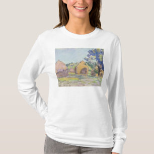 Camiseta Haystacks en el Santo-Cheron