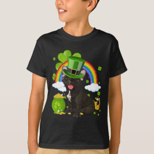 Camiseta Haz de nuevo genial el día de San Patricio Funny B