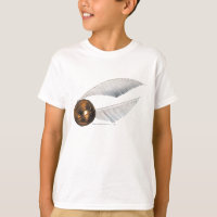 Hechizo de Harry Potter | Snitch Dorada