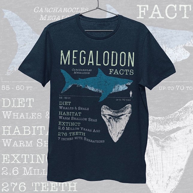 Camiseta Hechos de Megalodon (Subido por el creador)