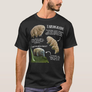 Camiseta Hechos divertidos de Tardigrado