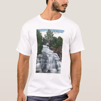 Camiseta Hector se cae cerca de la opinión del lago Seneca