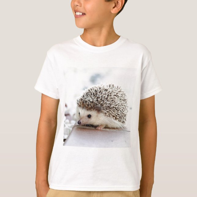 Camiseta Hedgehog (Anverso)