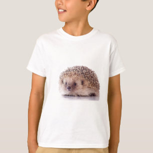 Camiseta Hedgehog,