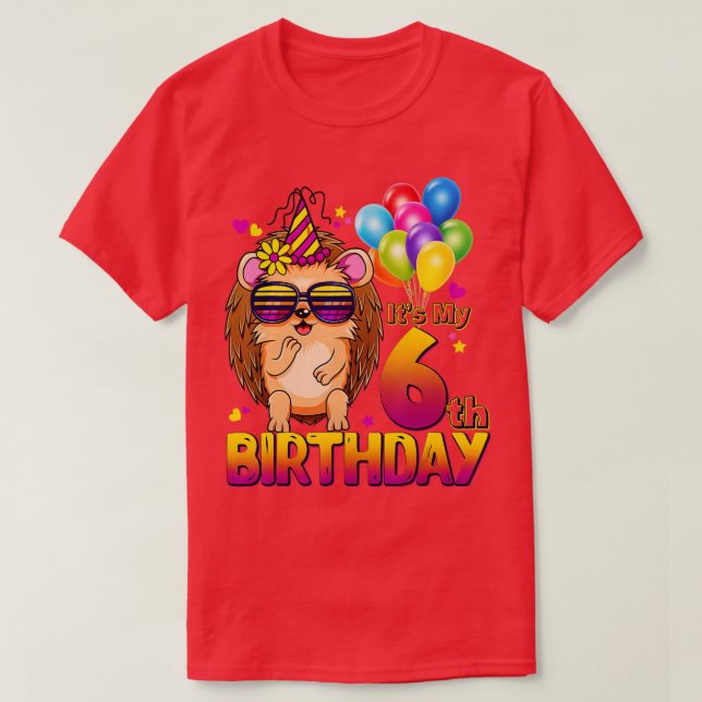 Camiseta Hedgehog 6th Birthday Shirt 6 Years Old Hedgehog B (Diseño del anverso)