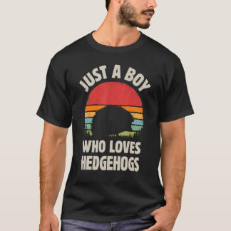 Camiseta Hedgehog Solo Un Niño Que Ama Los Hedgeogs Retro V