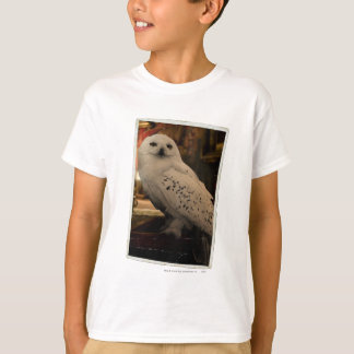 Camiseta Hedwig 3