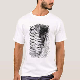 Camiseta Helecho de cuero gigante salvaje, Florida, EE. UU.