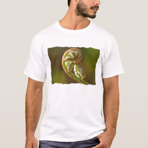 Camiseta Helecho de Fiddlehead