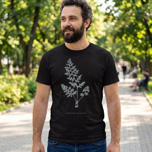 Camiseta Helecho de Jersey, Anogramma leptophylla