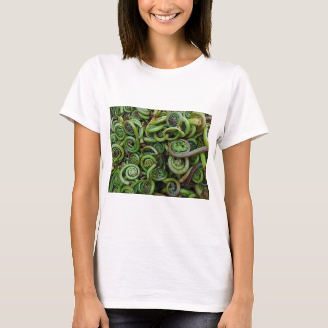 Camiseta Helechos de Fiddlehead (Anverso)