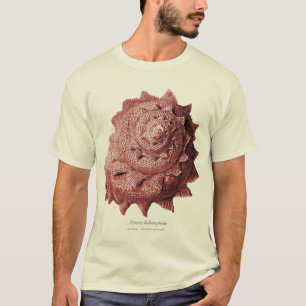 Camiseta Heliotropium de Astraea