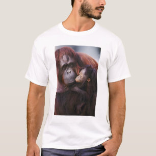 Camiseta Hembra de orangután de Sumatra con cría, Pongo