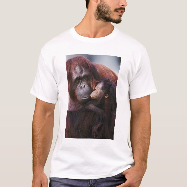 Camiseta Hembra de orangután de Sumatra con cría, Pongo (Anverso)