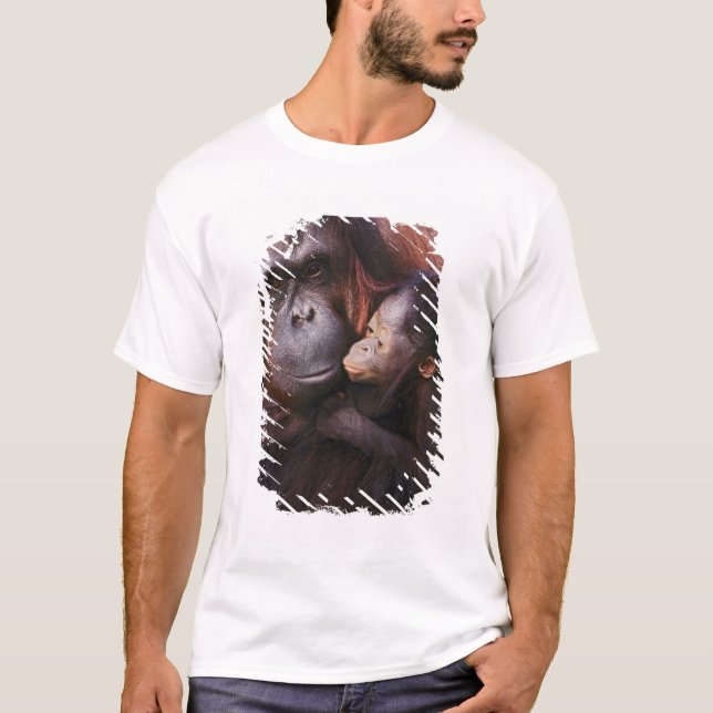 Camiseta Hembra de orangután de Sumatra con cría, Pongo (Anverso)