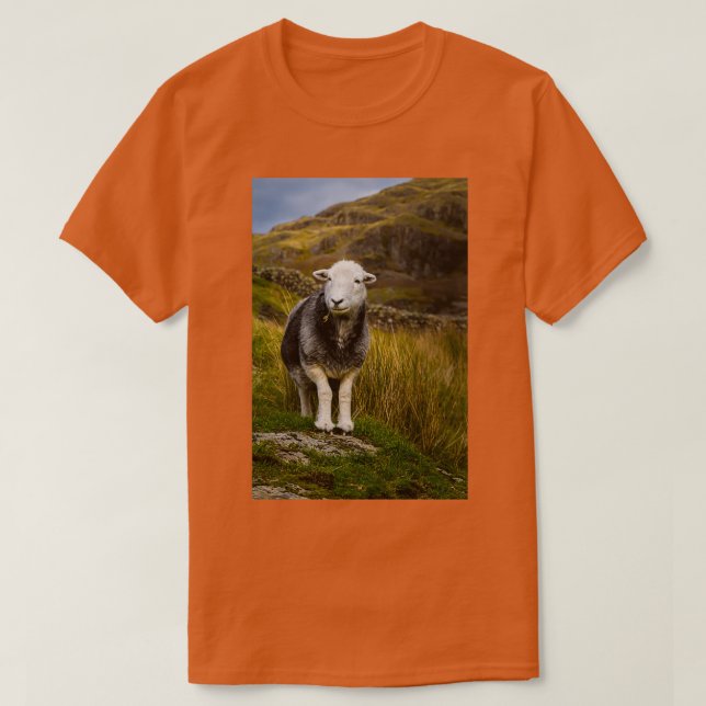 Camiseta Herdwick Sheep (Diseño del anverso)